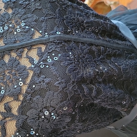 Candalite Maxi/Prom Dress - Picture 4 of 10